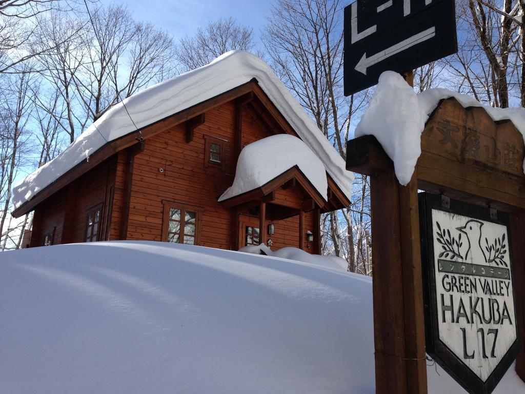 Holiday Cottage Green Valley Hakuba Kültér fotó