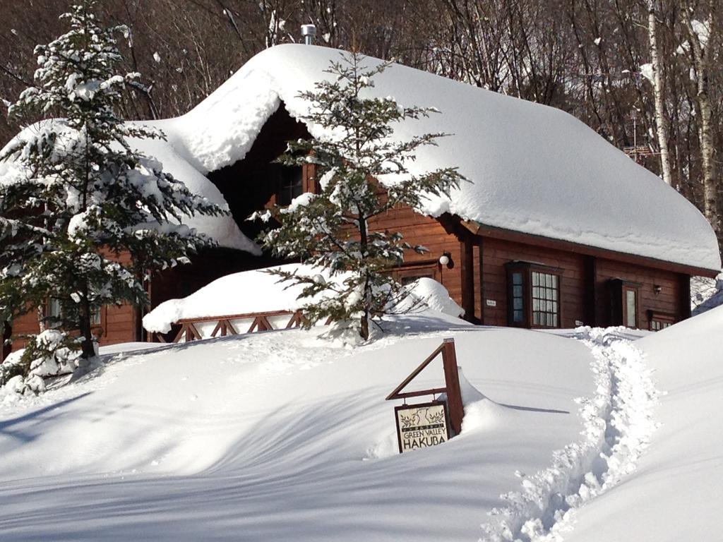 Holiday Cottage Green Valley Hakuba Kültér fotó