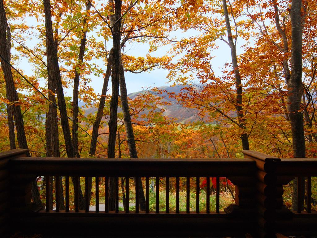 Holiday Cottage Green Valley Hakuba Kültér fotó
