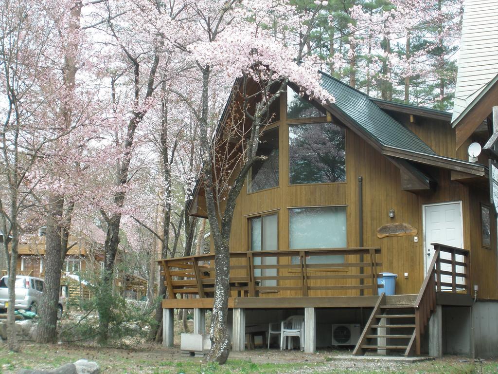 Holiday Cottage Green Valley Hakuba Kültér fotó